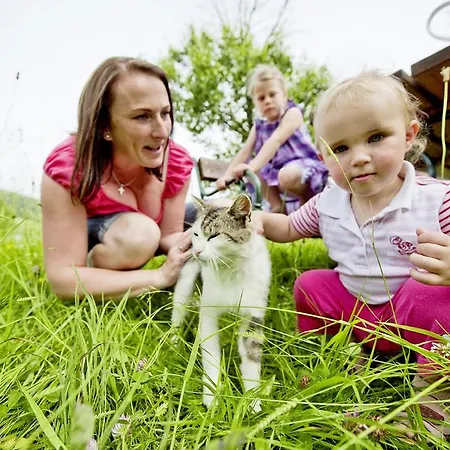 Πανσιόν Ferienhof Ederbauer Am Irrsee Zell am Moos