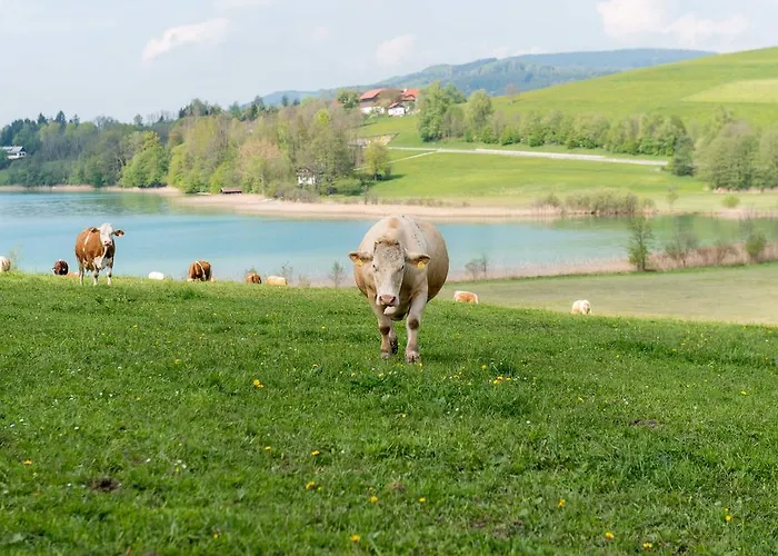 Ferienhof Ederbauer Am Irrsee Gasthof *