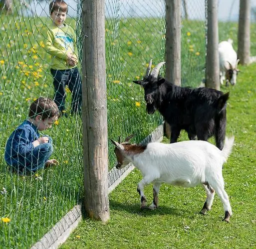 Ferienhof Ederbauer Am Irrsee Gasthof *
