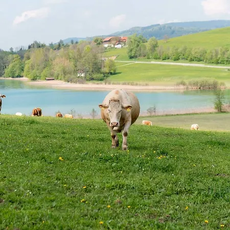Ferienhof Ederbauer Am Irrsee Gasthof *