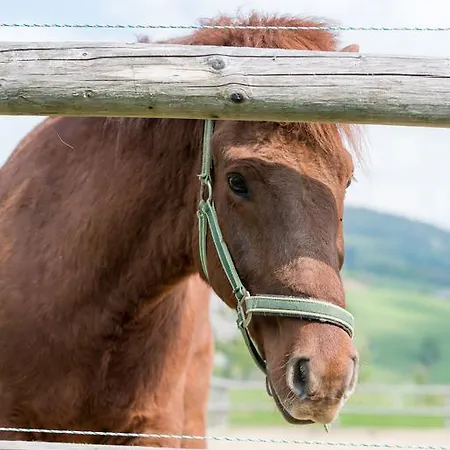 Ferienhof Ederbauer Am Irrsee זל אם מוס