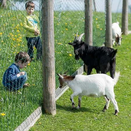 Ferienhof Ederbauer Am Irrsee בית הארחה *