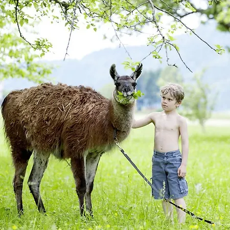 Ferienhof Ederbauer Am Irrsee בית הארחה
