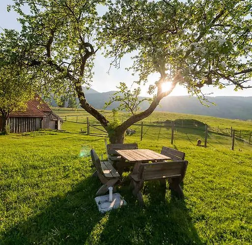 Konukevi Ferienhof Ederbauer Am Irrsee Zell am Moos