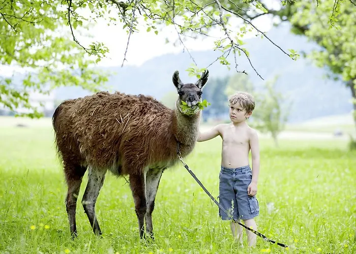 Ferienhof Ederbauer Am Irrsee Konukevi